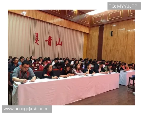 安养人参与仁川大象的奇妙对话与文化交融探秘