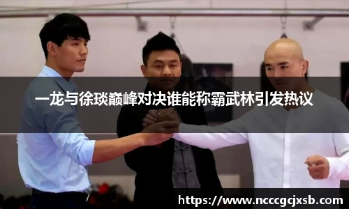一龙与徐琰巅峰对决谁能称霸武林引发热议